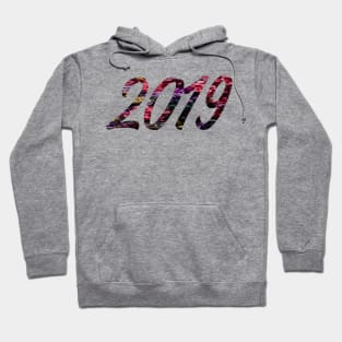 Happy New year 2019 Hoodie